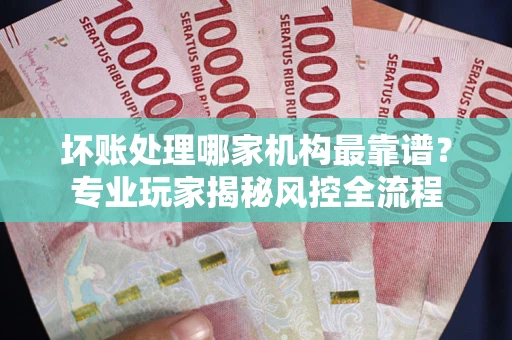武汉坏账处理哪家机构最靠谱？专业玩家揭秘风控全流程
