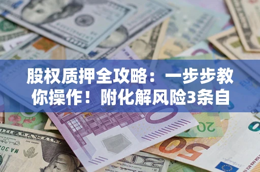 武汉股权质押全攻略：一步步教你操作！附化解风险3条自救法则
