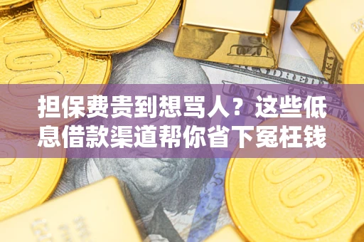 武汉担保费贵到想骂人？这些低息借款渠道帮你省下冤枉钱