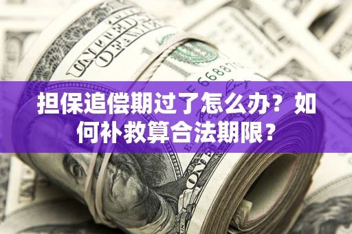 武汉担保追偿期过了怎么办？如何补救算合法期限？