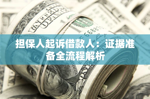 武汉担保人起诉借款人：证据准备全流程解析