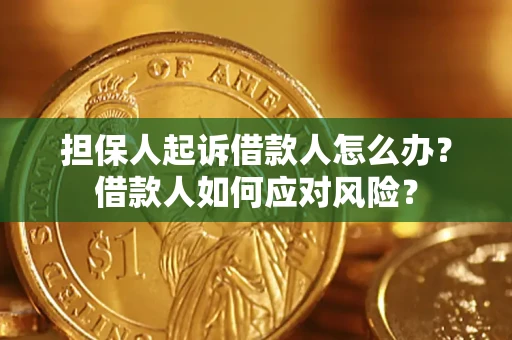 武汉担保人起诉借款人怎么办？借款人如何应对风险？