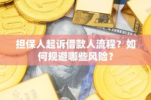 武汉担保人起诉借款人流程？如何规避哪些风险？