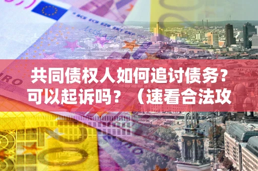 武汉共同债权人如何追讨债务？可以起诉吗？（速看合法攻略）