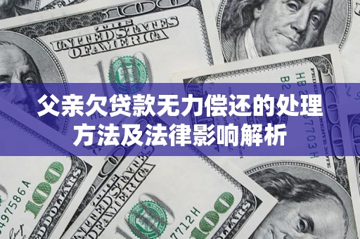 武汉父亲欠贷款无力偿还的处理方法及法律影响解析